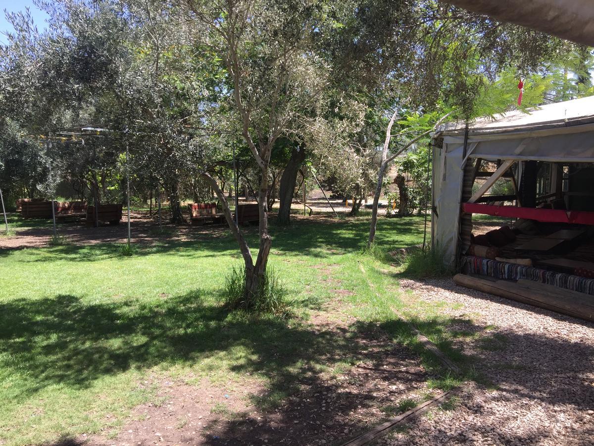 Peace Tent Villa Kfar Rut Esterno foto
