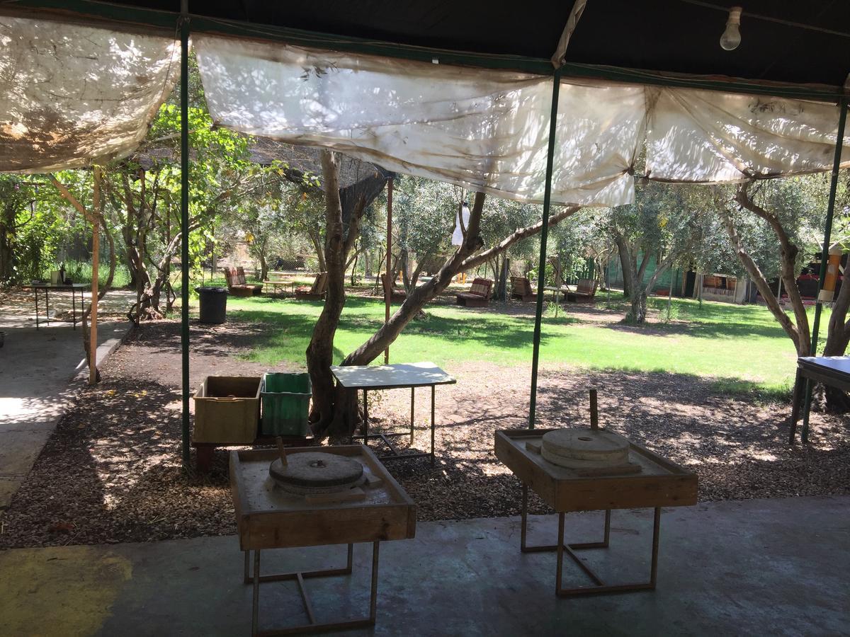 Peace Tent Villa Kfar Rut Esterno foto
