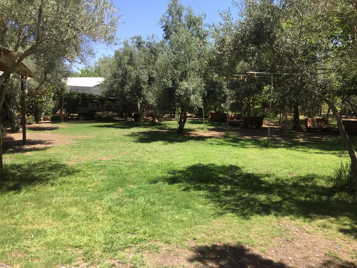 Peace Tent Villa Kfar Rut Esterno foto